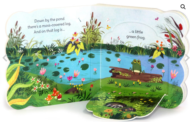 LITTLE GREEN FROG CHUNKY LIFT-A-FLAP BOOK