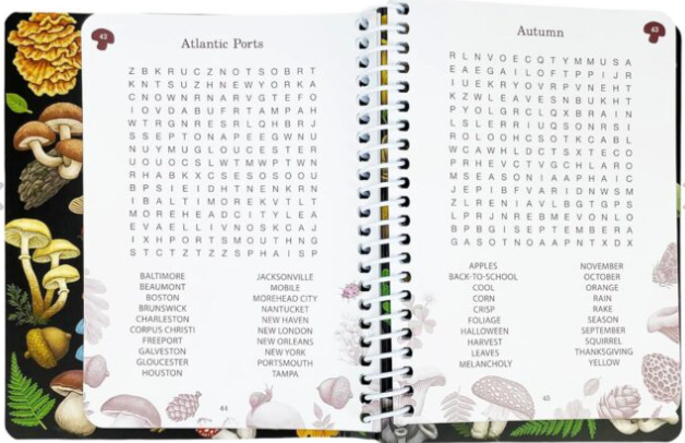WORD SEARCH PUZZLES FOR CLARITY