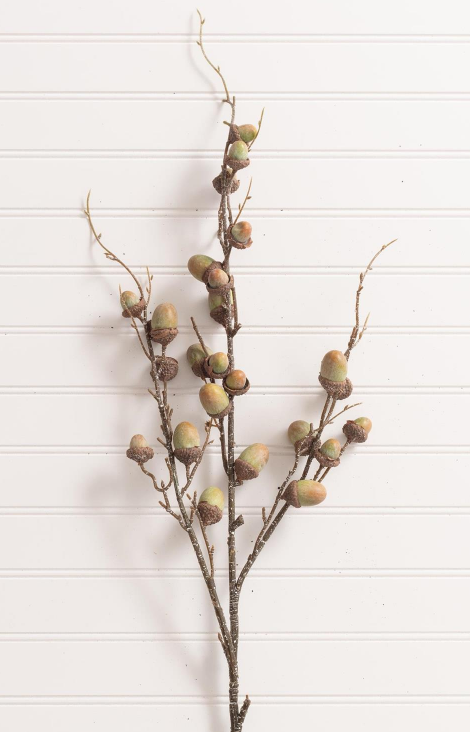 GREEN ACORN SPRAY