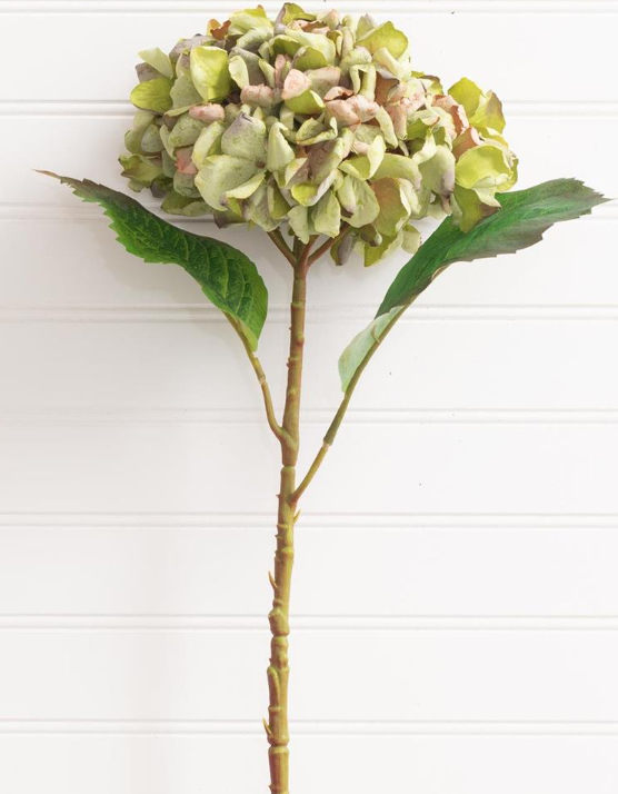 HYDRANGEA PICK - ASSORTED
