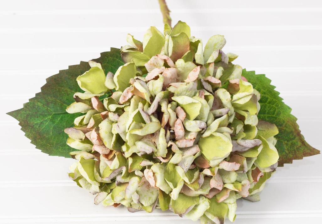 HYDRANGEA PICK - ASSORTED