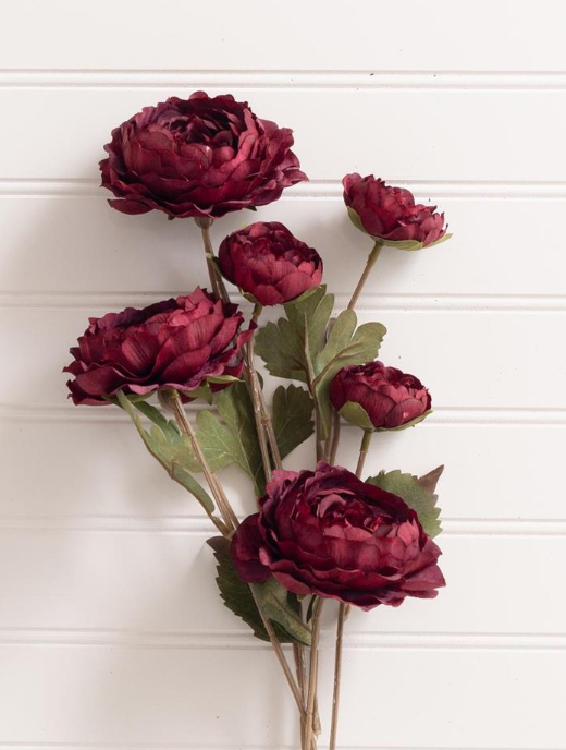 RANUNCULUS PICK - ASSORTED
