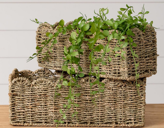 SCALLOPED EDGE SEAGRASS BASKETS
