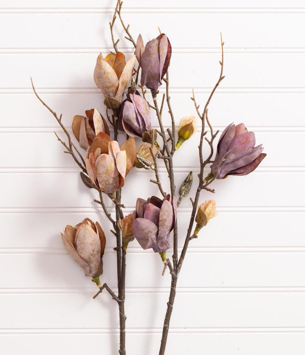 MAGNOLIA BRANCH