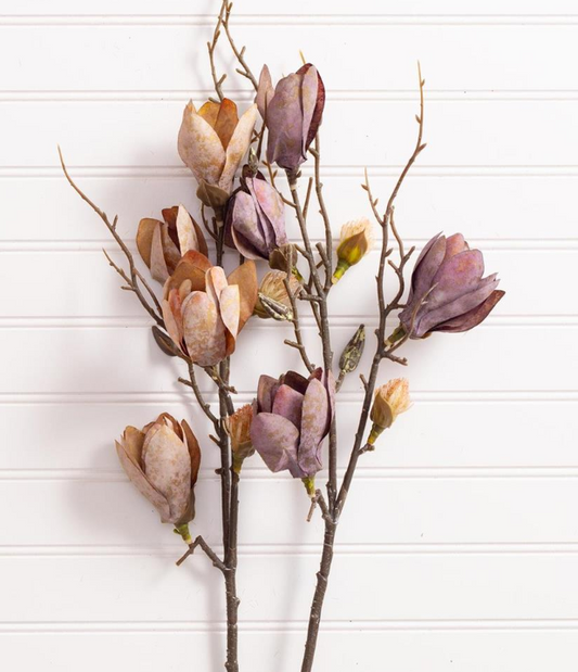 MAGNOLIA BRANCH
