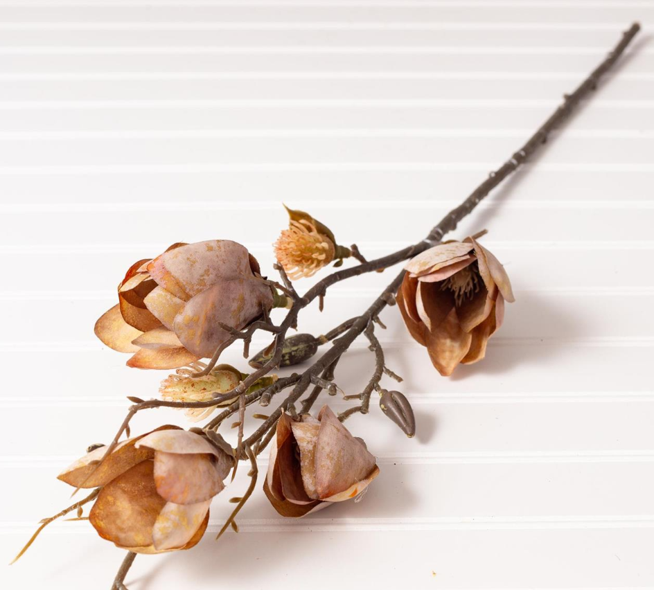 MAGNOLIA BRANCH