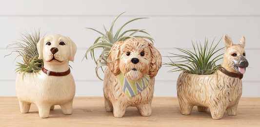 DOGGY PLANTER - ASSORTED