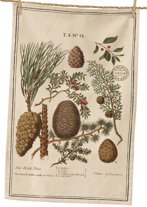 WINTER BOTANICAL TEA TOWELS - ASSORTED