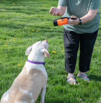 MAD DOG TREAT TRAINER