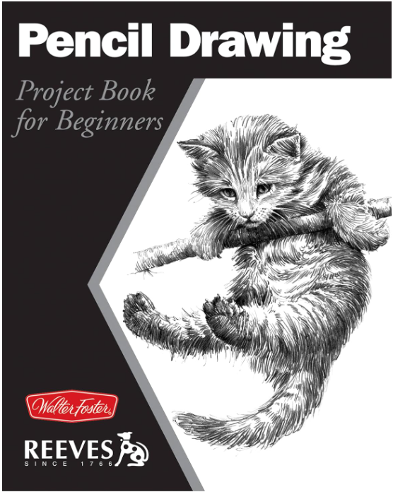 PENCIL DRAWING: PROJECT BOOK FOR BEGINNERS