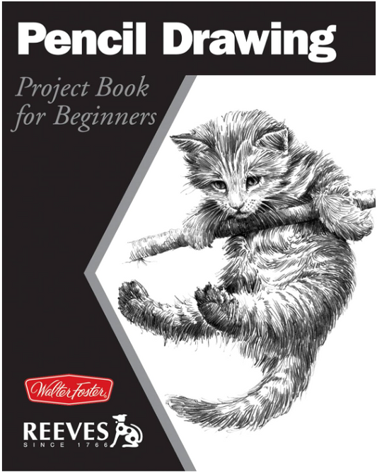 PENCIL DRAWING: PROJECT BOOK FOR BEGINNERS