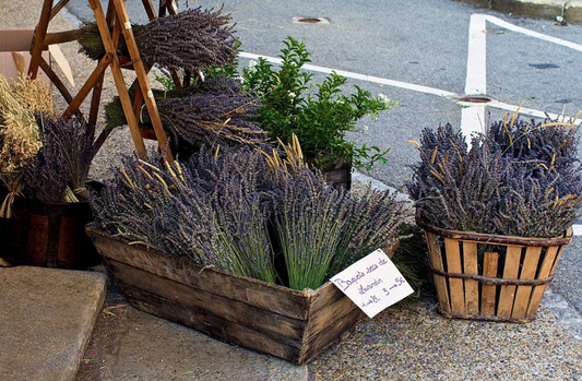 LOCAL FAIRVIEW LAVENDER BUNCHES