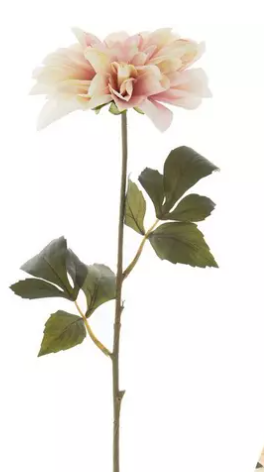 DAHLIA STEM - BLUSH