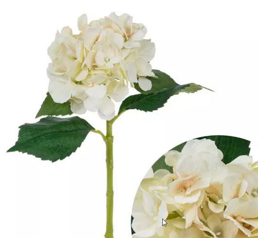 HYDRANGEA STEM - WHITE