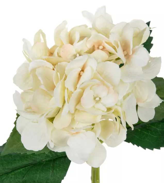 HYDRANGEA STEM - WHITE