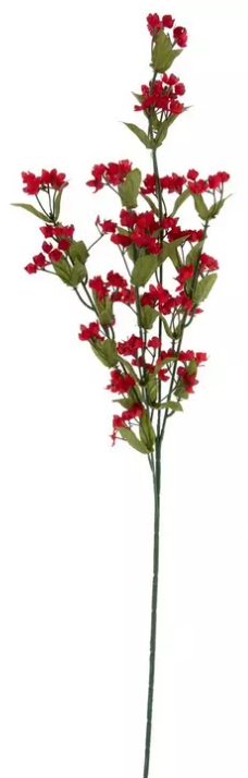 GYPSOPHILA STEM- ASSORTED