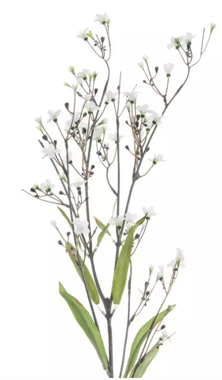 GYPSOPHILA STEM- ASSORTED
