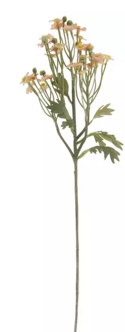 MINIATURE DAISY SPRAY - ASSPRTED