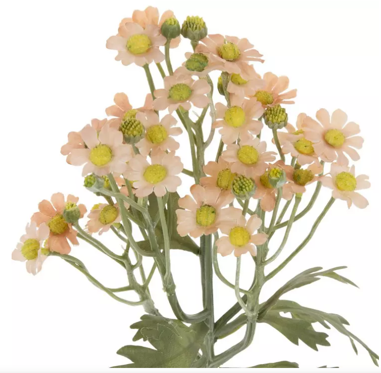 MINIATURE DAISY SPRAY - ASSPRTED