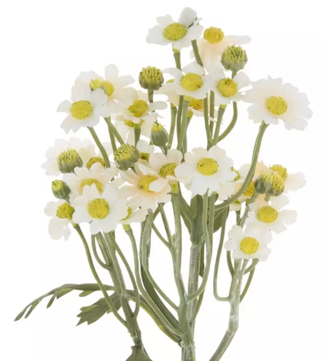 MINIATURE DAISY SPRAY - ASSPRTED