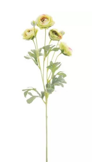 RANUNCULUS SPRAY - SOFT GREEN