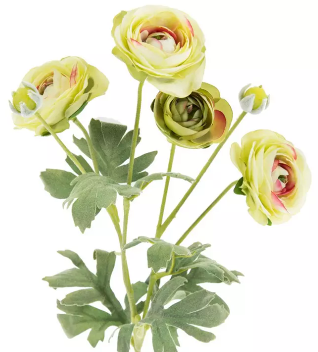 RANUNCULUS SPRAY - SOFT GREEN