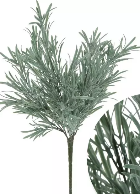 ROSEMARY BUSH
