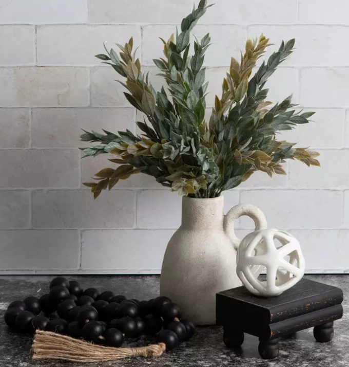 RUSCUS BUSH