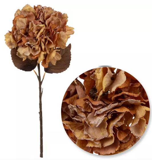 DRIED LOOK HYDRANGEA STEM - TERRACOTTA