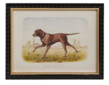 THE HUNT WALL ART - ASSORTED