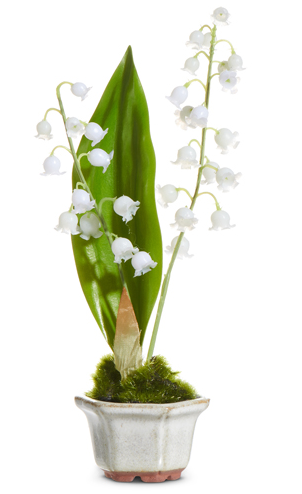 7.5" LILY OF THE VALLEY IN CACHEPOT