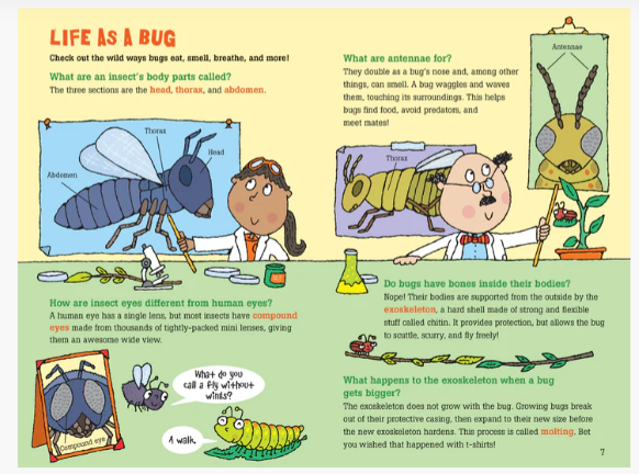 100 QUESTIONS ABOUT BUGS