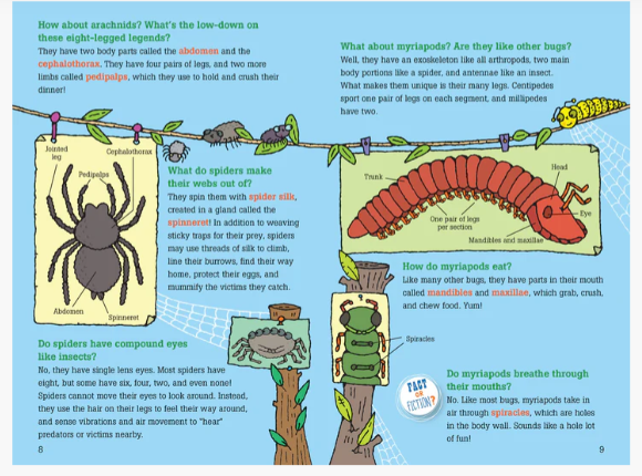 100 QUESTIONS ABOUT BUGS