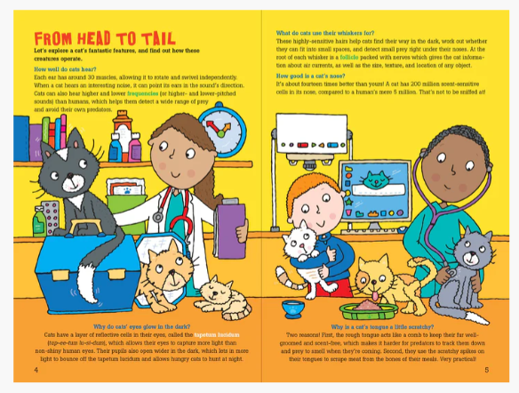 100 QUESTIONS ABOUT CATS