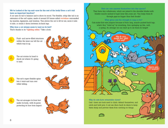 100 QUESTIONS ABOUT CATS