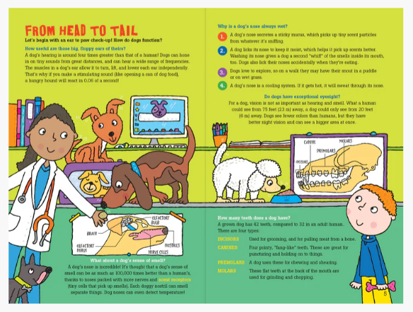 100 QUESTIONS ABOUT DOGS