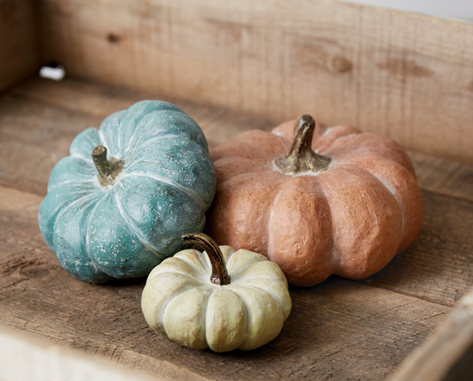 HARVEST PUMPKINS - ASSORTED