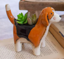 CERAMIC DOG PLANTERS - ASSORTED