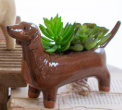 CERAMIC DOG PLANTERS - ASSORTED