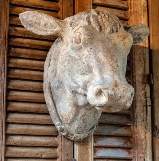 WEATHERED DISTRESSED COW HEAD