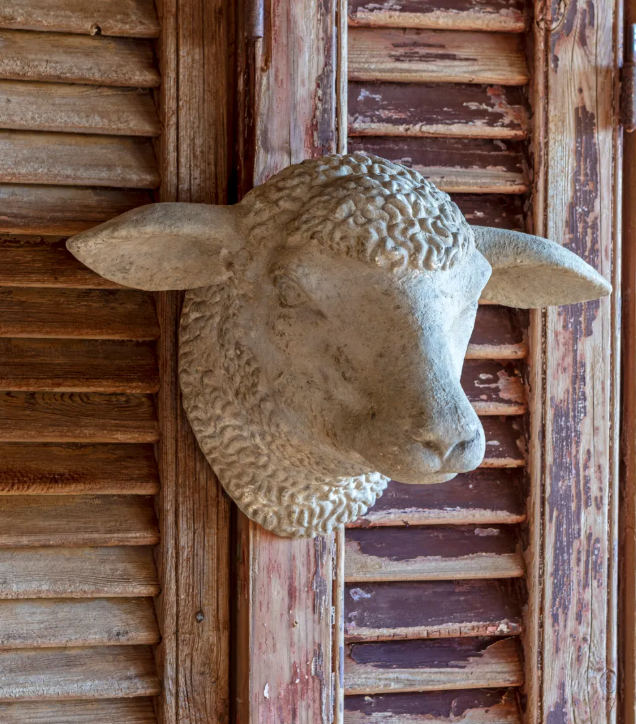 DISTRESSED WEATHERED SHEEP'S HEAD