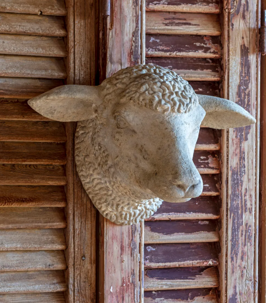 DISTRESSED WEATHERED SHEEP'S HEAD