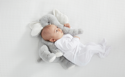 14" JELLYBEAN ELEPHANT