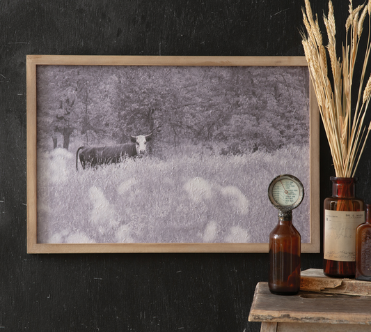 BULL IN PASTURE WALL ART