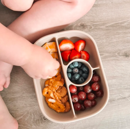 CALLA & FRIENDS HAYDEN XL BENTO BOX