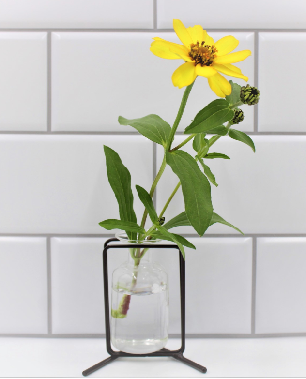3.5" BLACK METAL STAND WITH GLASS VASE
