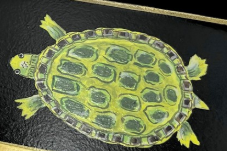 HAND-PAINTED FROG AND TURTLE WOOD TRAYS BY TAWNYA NORTON - ASSORTED