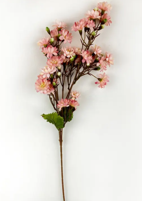 #3 SWEET BLOSSOM PEACH