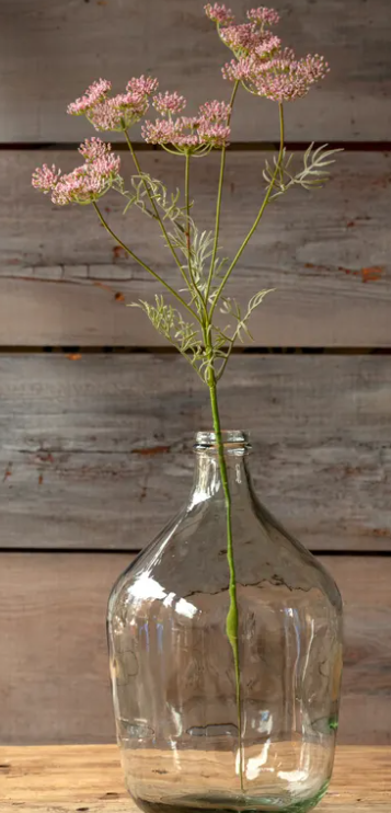 WILD QUEEN ANNES LACE BLUSH