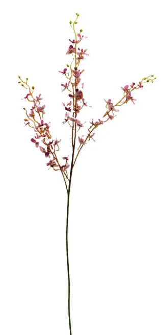 GARDEN ORCHID LAVENDER